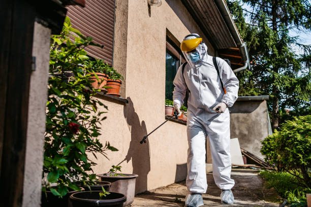 Best Pest Prevention Services  in Shadow Lake, WA