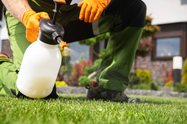 Best Pest Prevention Services  in Shadow Lake, WA