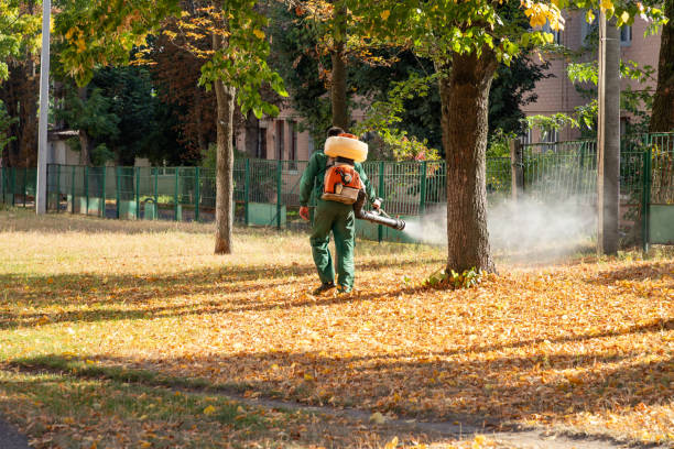 Best Affordable Pest Control Services  in Shadow Lake, WA