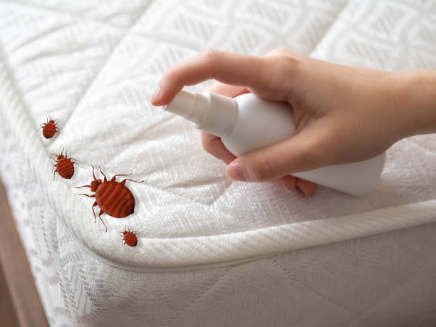 Pest Prevention Services in Shadow Lake, WA