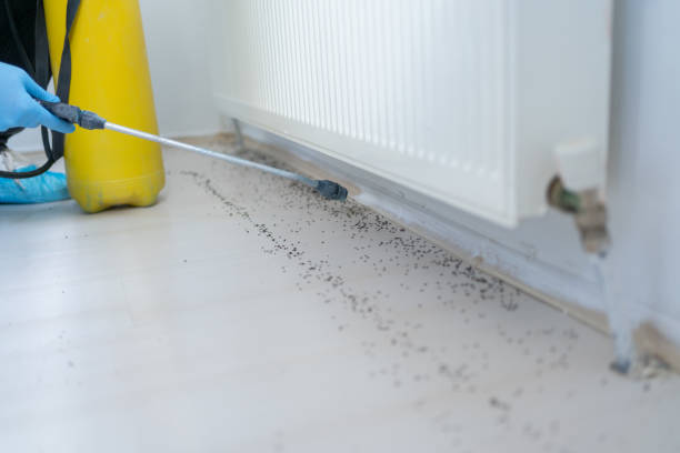 Best Rat Extermination Near Me  in Shadow Lake, WA