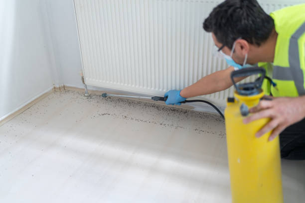 Flea Control Services in Shadow Lake, WA